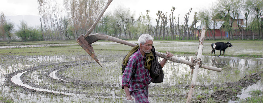 Farm Suicides