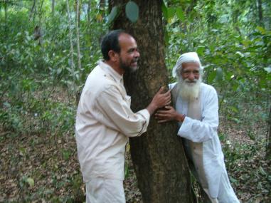 दक्षिण भारत का अप्पिको आंदोलन -- बाबा मायाराम