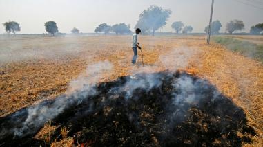 पढ़िए, पंजाब और हरियाणा में कितनी जलती है पिराली, क्या हैप्पी सीडर है इसका समाधान ?