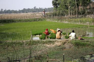 To breathe fresh air, opt for better agricultural technology