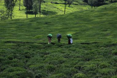 Once plentiful in rain, North East now faces frequent drought