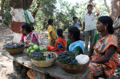 Steady rise in fruits and veggies production