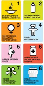 India's MDG Score Card: Glass Half Full or Half Empty?