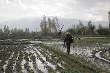 A reality check indicates that MSP set for 2019-20's kharif crops is not 1.5 times the 'C2' cost of production