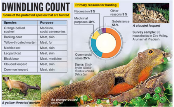 Poaching