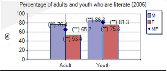 65.2% of adults and 81.3% of youth are literate