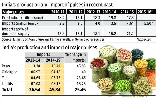 Pulses